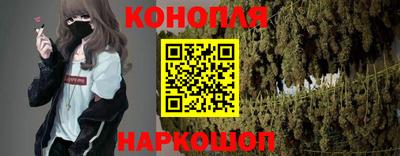гидра Краснознаменск