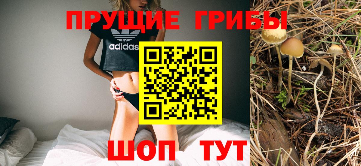 Чехов  Псилоцибиновые грибы Psilocybe  Вход с VPN 